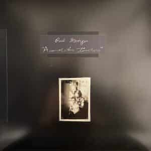 Paul Metzger – Anamnestic Tincture