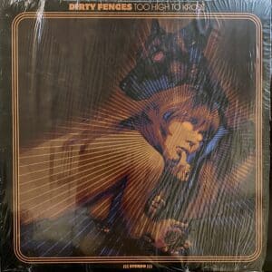 Dirty Fences – Too High To Kross