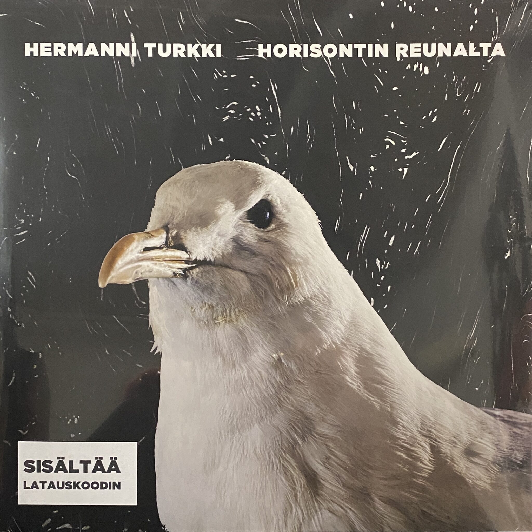 Hermanni Turkki – Horisontin Reunalta
