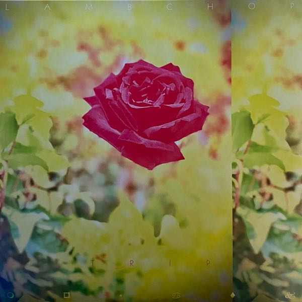 Lambchop – Trip