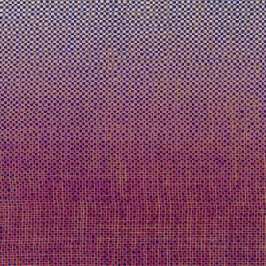 Ambrose Akinmusire, Mary Halvorson – Slo-Mo Neon Luminate Hoverings