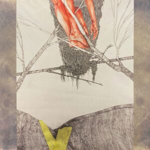 Njihe – Harakan Kanssa