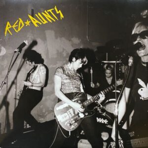 Red Aunts – Come Up For A Closer Look