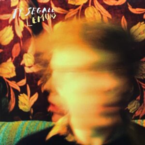 Ty Segall – Lemons