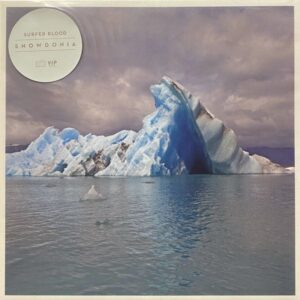 Surfer Blood – Snowdonia