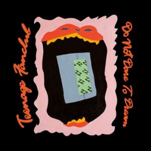 Ilmestyy 9.10.2026 / Teenage Fanclub – Do Not Dare To Dream